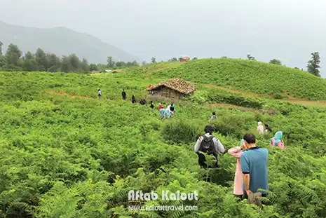 تور ترکینگ ییلاق مازیچال خودرو شخصی