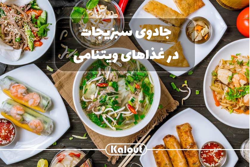 خوشمزه ترین غذا های ویتنام