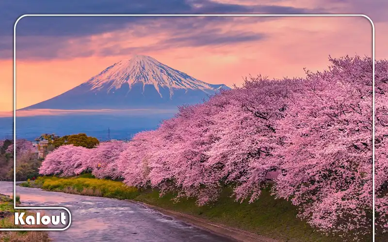 تورهای ژاپن از ایران