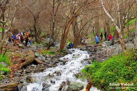 تور کلکچال به توچال همراه با کلوت