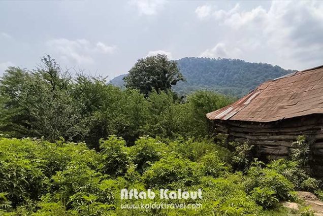 سفر به مازندران و هفت آبشار لفور