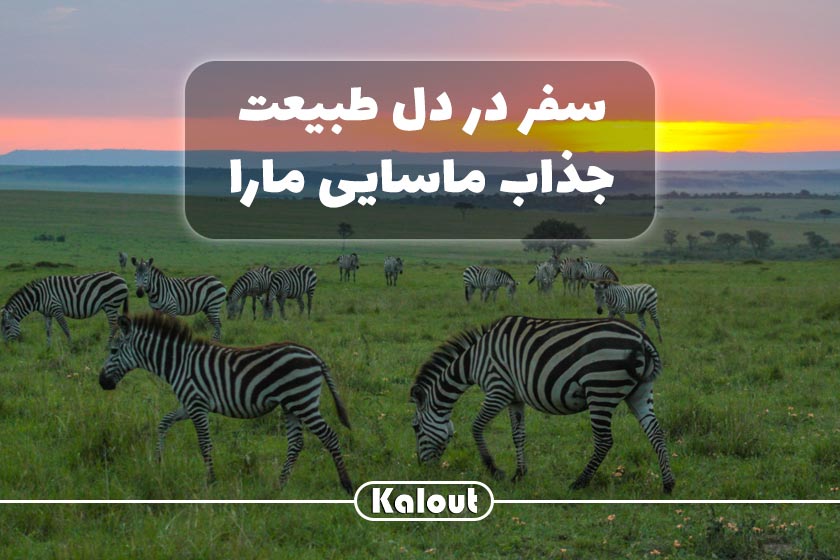 سفر به ماسایی مارا