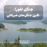 سفر به جنگل لفور