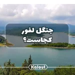 راهنمای سفر به جنگل لفور