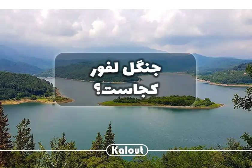 راهنمای سفر به جنگل لفور