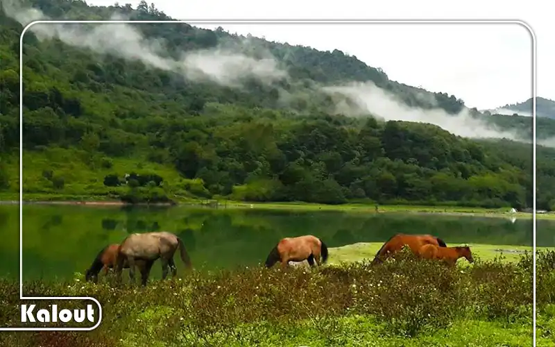 طبیعت لفور
