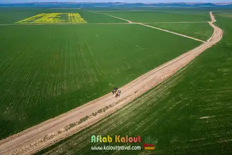 طبیعت سرسبز در تور نوروزی خالدنبی و ترکمن صحرا