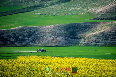 ترکمن صحرا در تور نوروزی خالدنبی