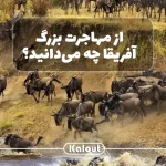 مهاجرت بزرگ حیوانات در آفریقا