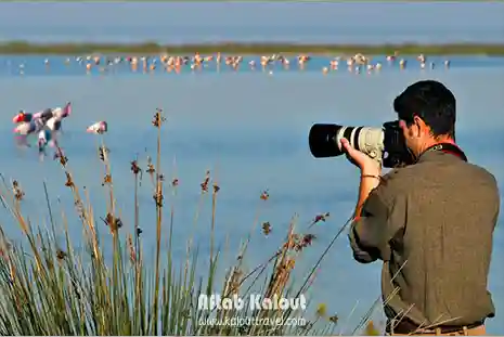 پرنده نگری در تالاب صالحیه
