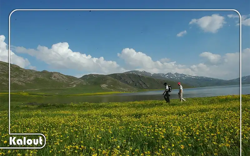 ترکینگ نئور به سوباتان