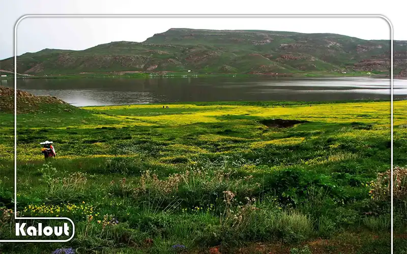 جاده نئور سوباتان