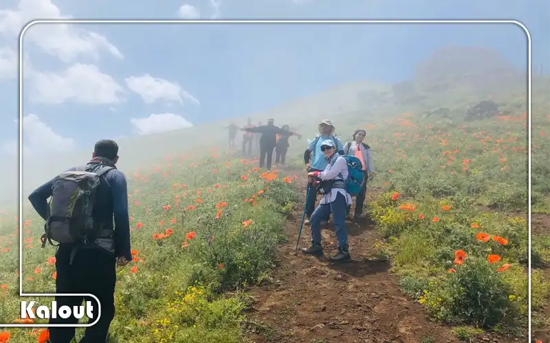 ترکینگ نئور به سوباتان