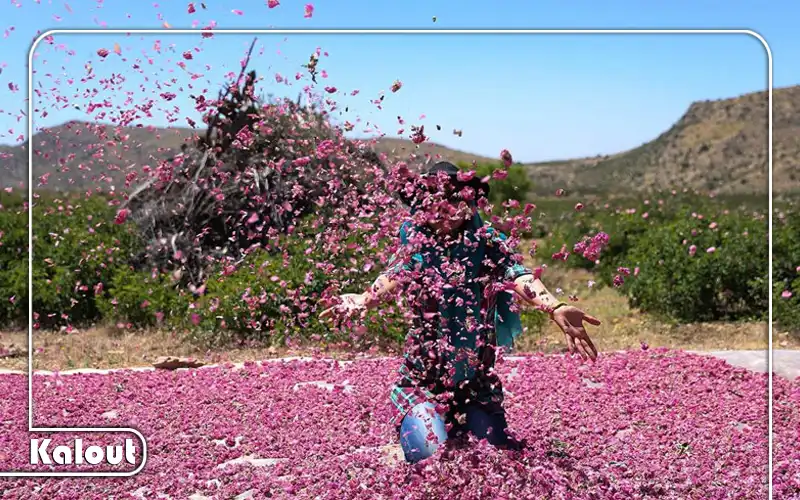 تور خارجی تعطیلات خرداد