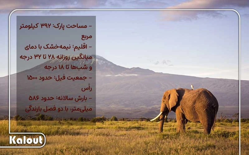 پارک آمبوسلی در تور آفریقا کنیا
