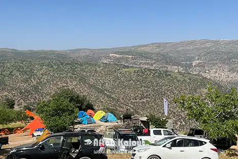 تور سافاری کمپ شاهو