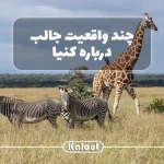 حقایق جالب کنیا