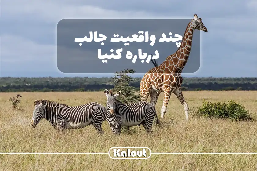 حقایق جالب کنیا