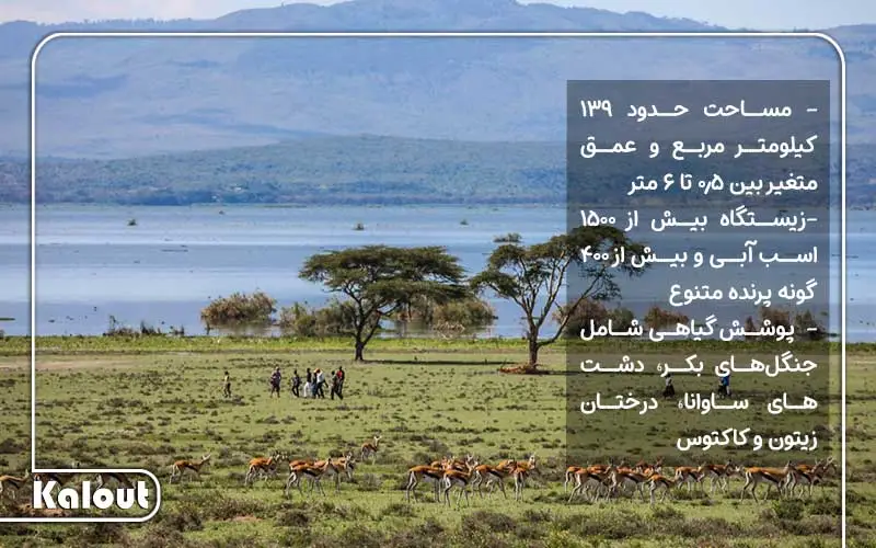 دریاچه نایواشا در تور کنیا آفریفا