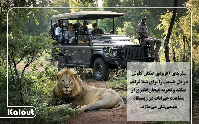 تور سافاری چیست