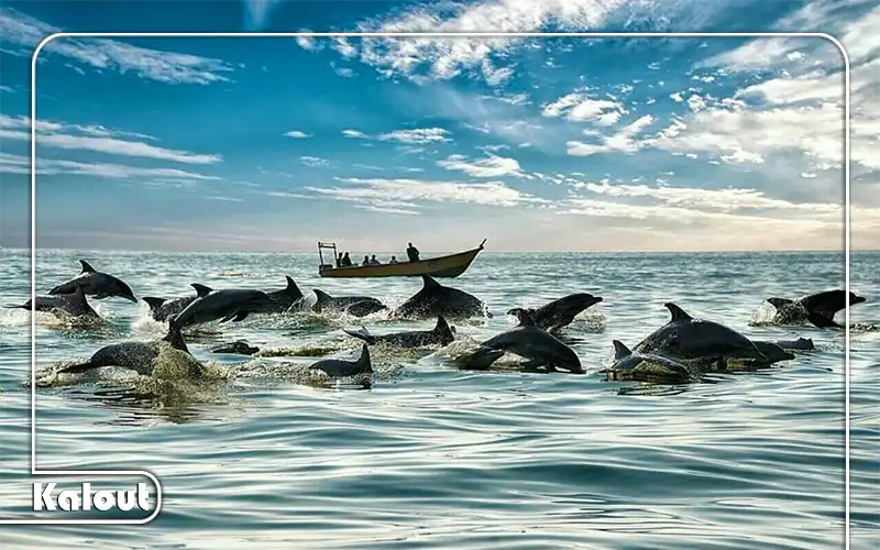 قایق سواری در جزیره هنگام