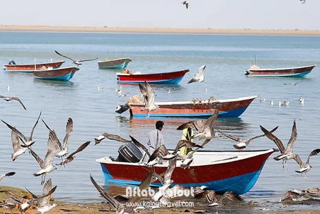 خلیج گواتر چابهار