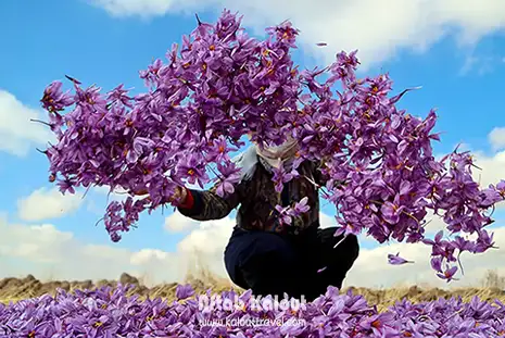 تور بیرجند آفتاب کلوت