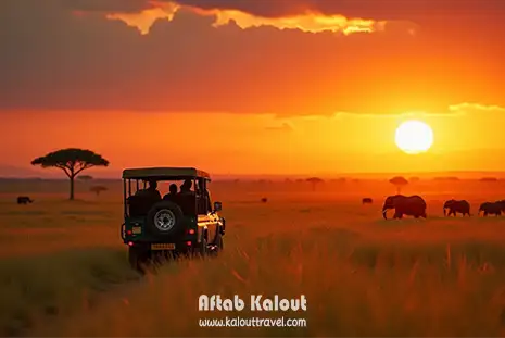 تور سافاری در کنیا