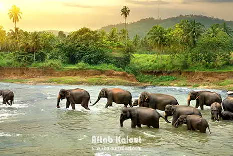 تور ترکیبی سریلانکا