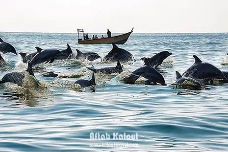 تور هتل 3 ستاره قشم