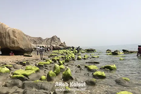 سواحل پارسیان
