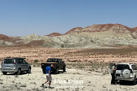 تور سافاری بوشهر