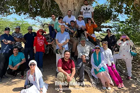 همسفران تور سافاری