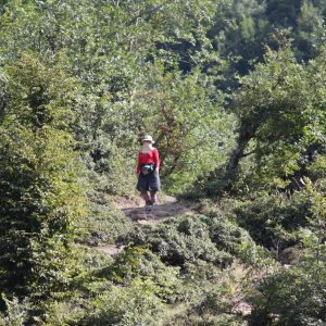 تور جنگل و آبگرم گیلده (هتل جهانگردی)
